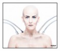 /album/robot/a24102012-ang8135-copy-jpg/